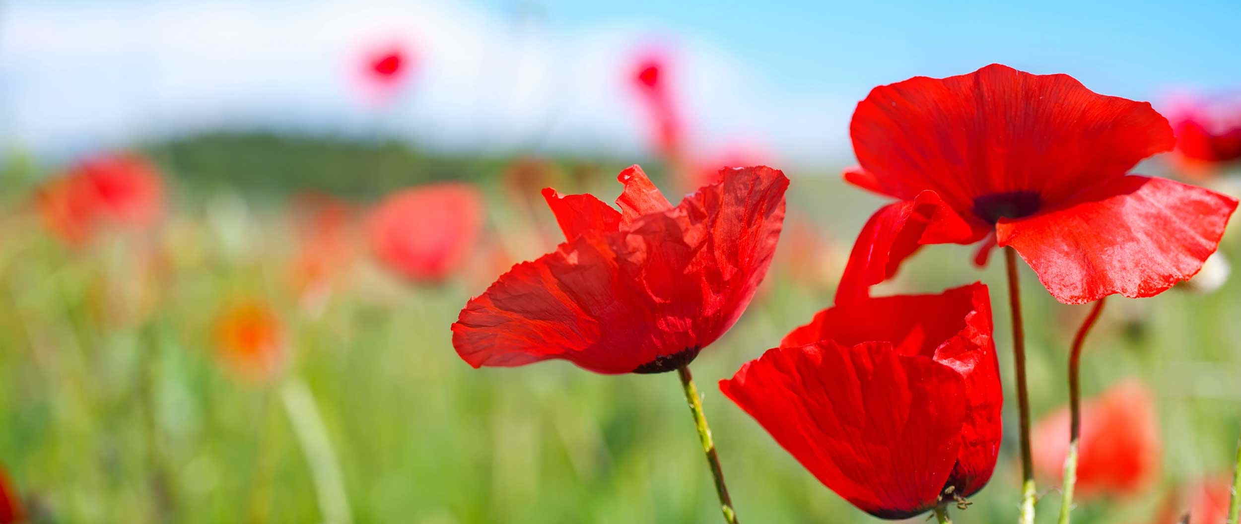 zam-praxis-haederbild.1.623052cd20b39